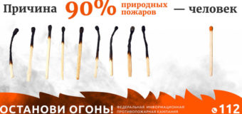 Методические материалы по профилактике природных пожаров